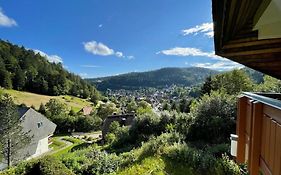Panorama Apartment Todtmoos